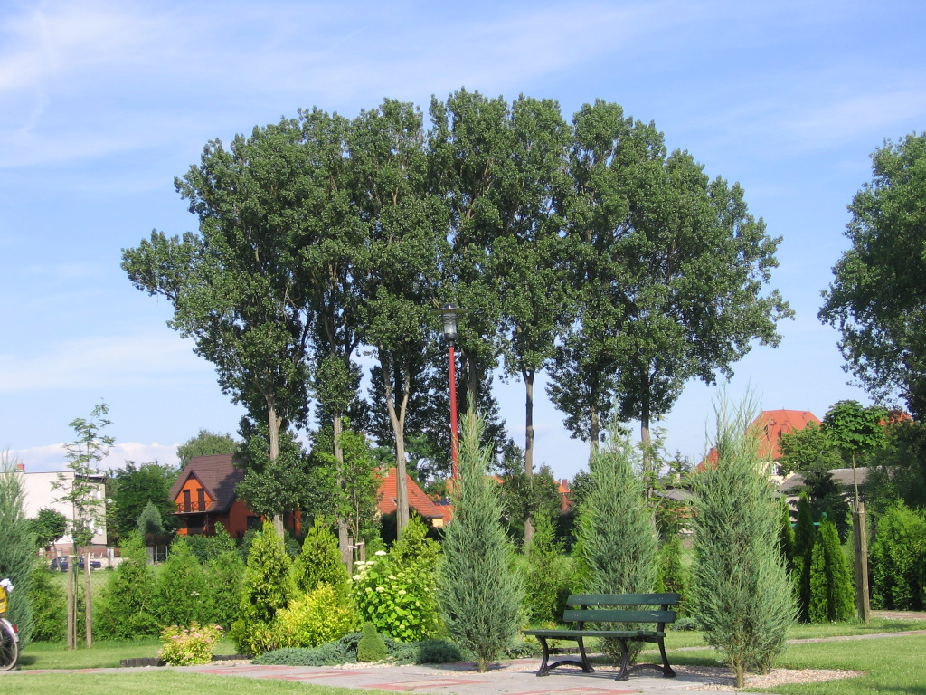 Wałcz, Chłodna street