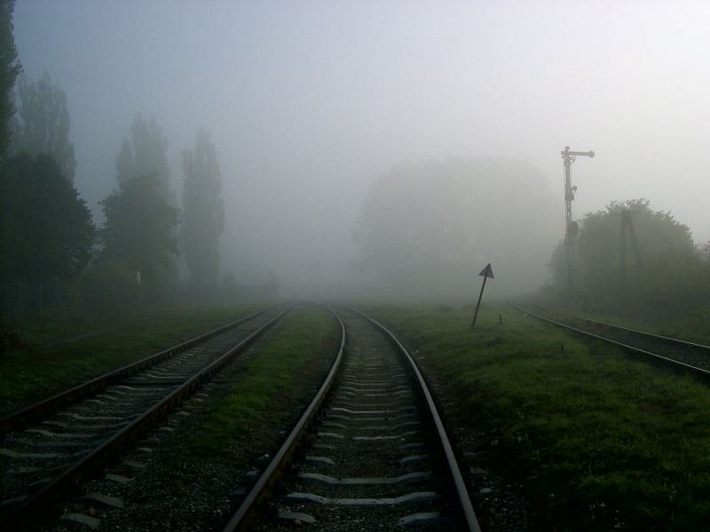 mglisty swit /misty dawn