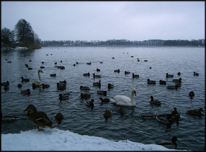 jez zamkowe / Zamkowe Lake