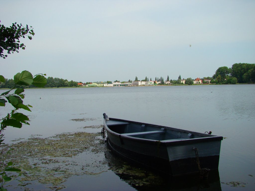 Widok na MOSiR