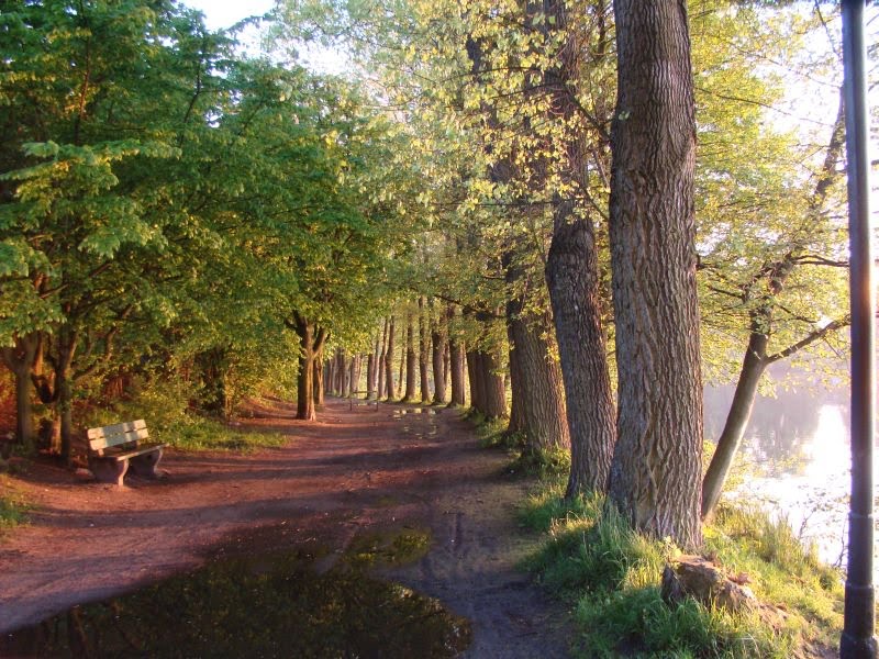 Promenada n/Raduńskim przed zachodem słońca