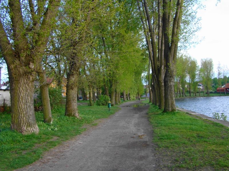 Promenada nad jez. Raduńskim