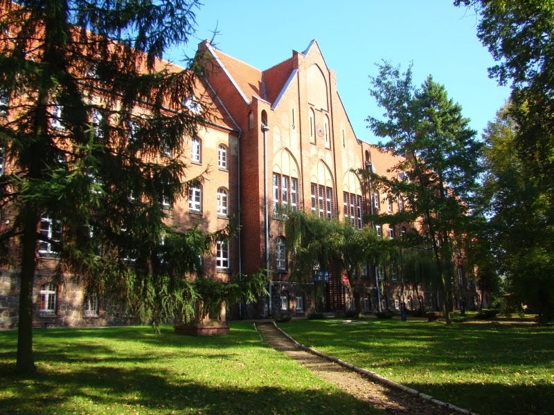 Państwowa Wyższa Szkoła Zawodowa
