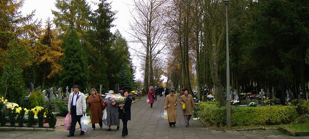 cemetery on 1st november (All Saints Day)