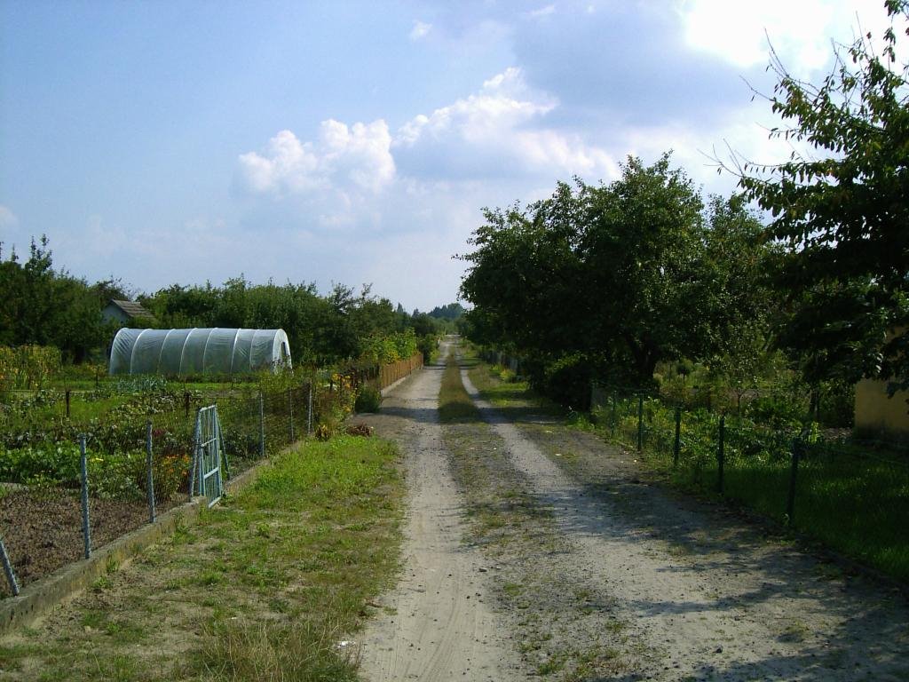 allotments