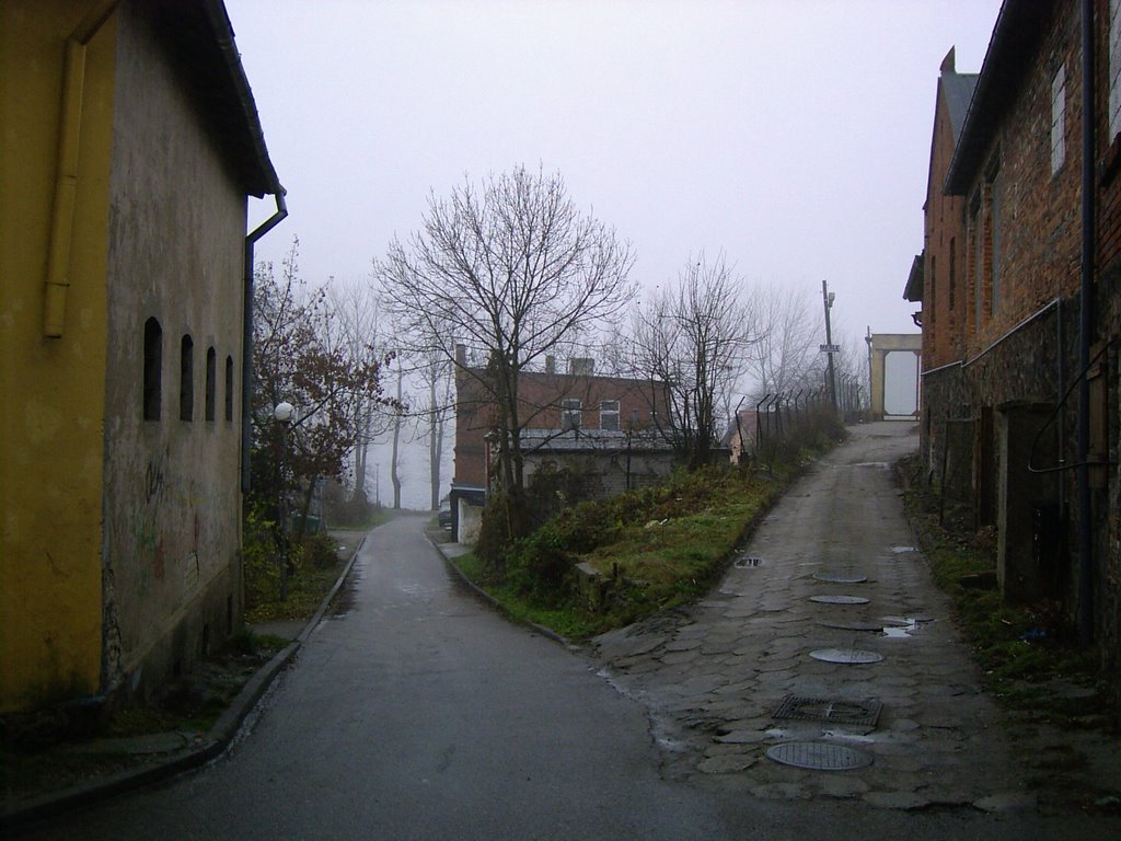bifurcation