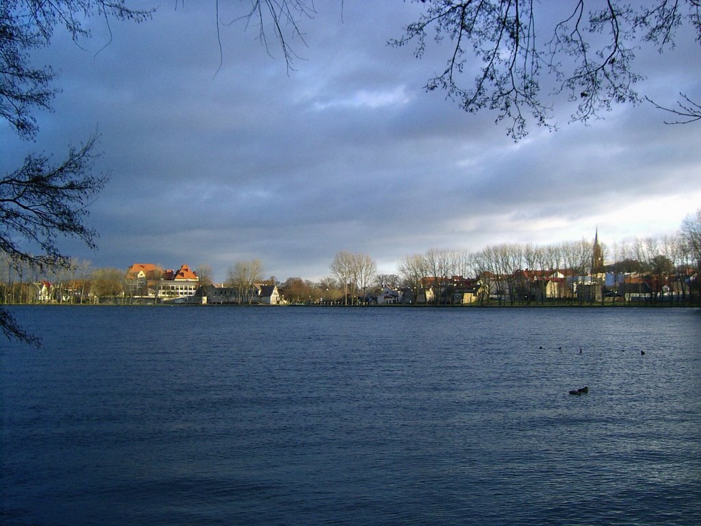Lake Radun, shore, november