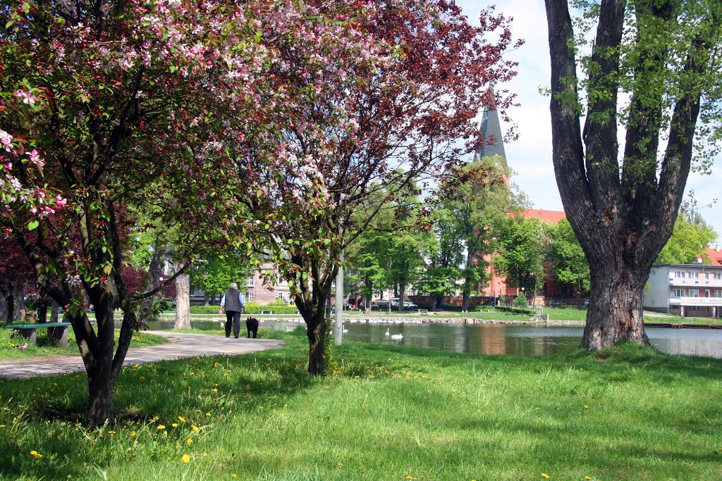 The Beauty of Spring, Wałcz, Poland