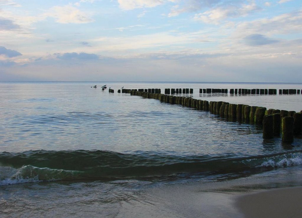 Simply... Baltic Sea - Dedicated to Sylvie from Canada