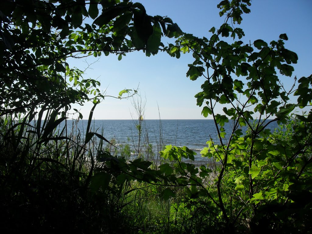 2010 Blick zur Ostsee;  2010 View to the Baltic Sea;