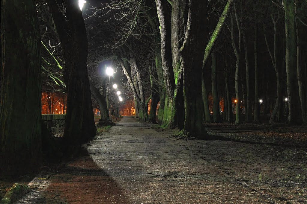 Park przy ul. Spacerowej nocą.
