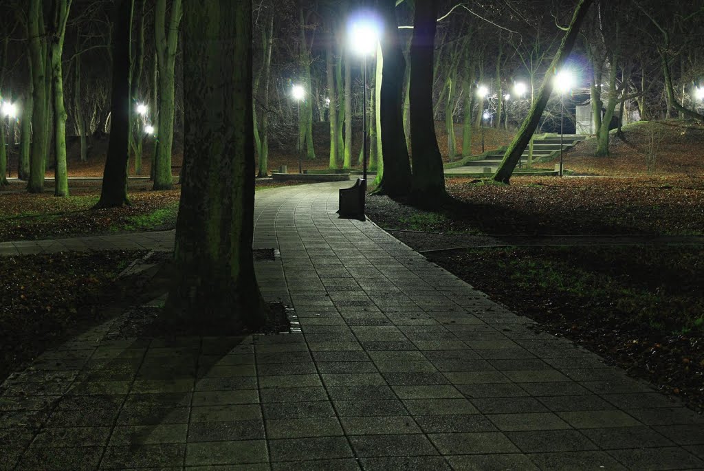 Parka nadmorski i pomnik Zaślubin nocą.