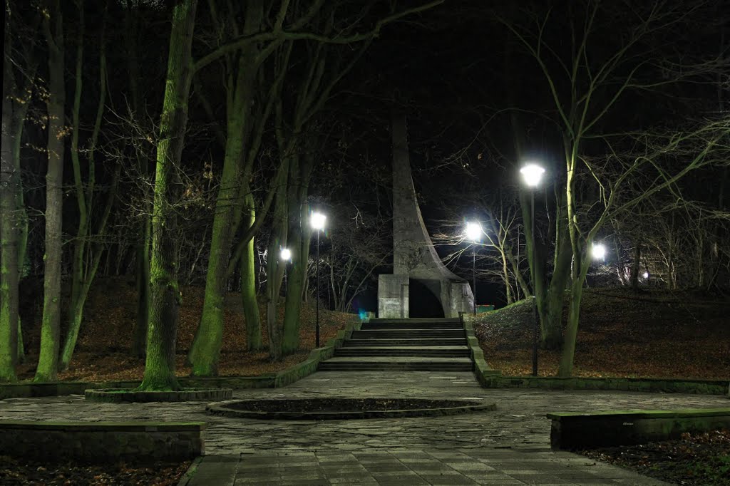 Pomnik Zaślubin z morzem nocą.