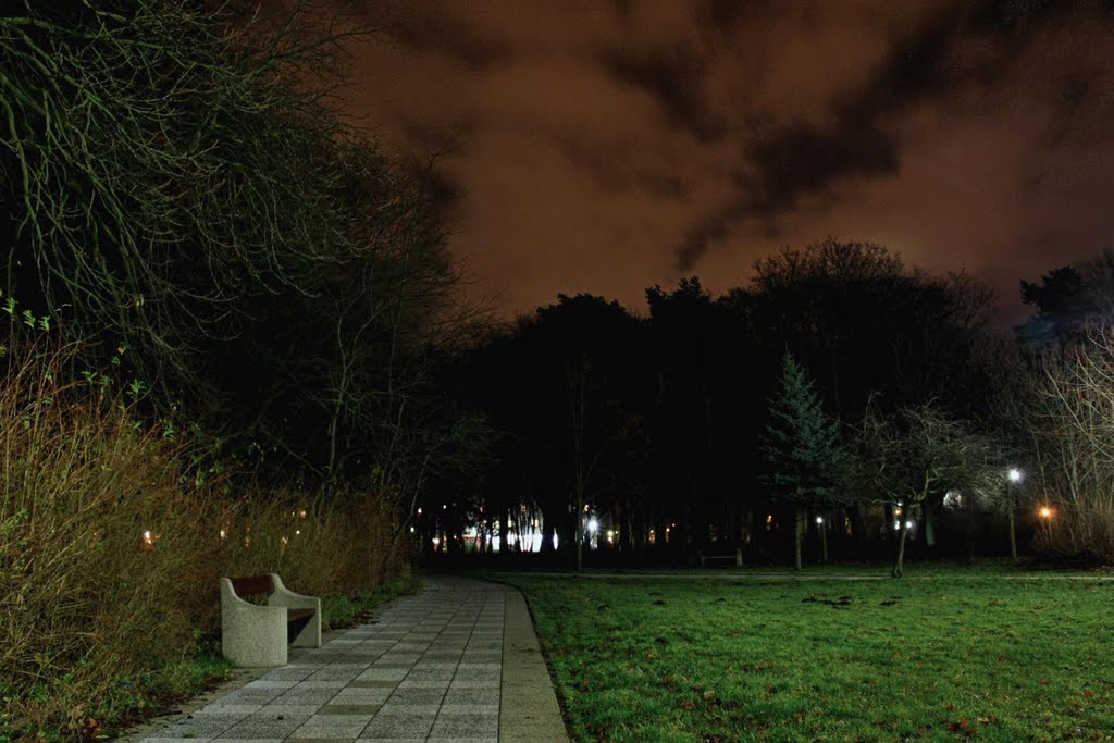 Ławeczka w parku nadmorskim nocą.