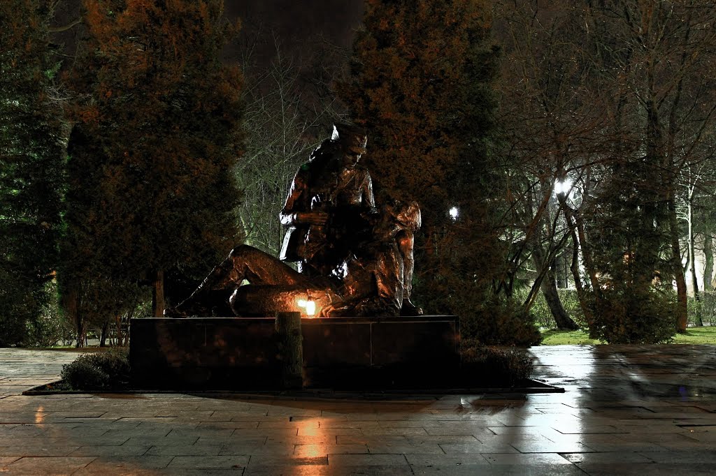 Pomnik Sanitariuszki.