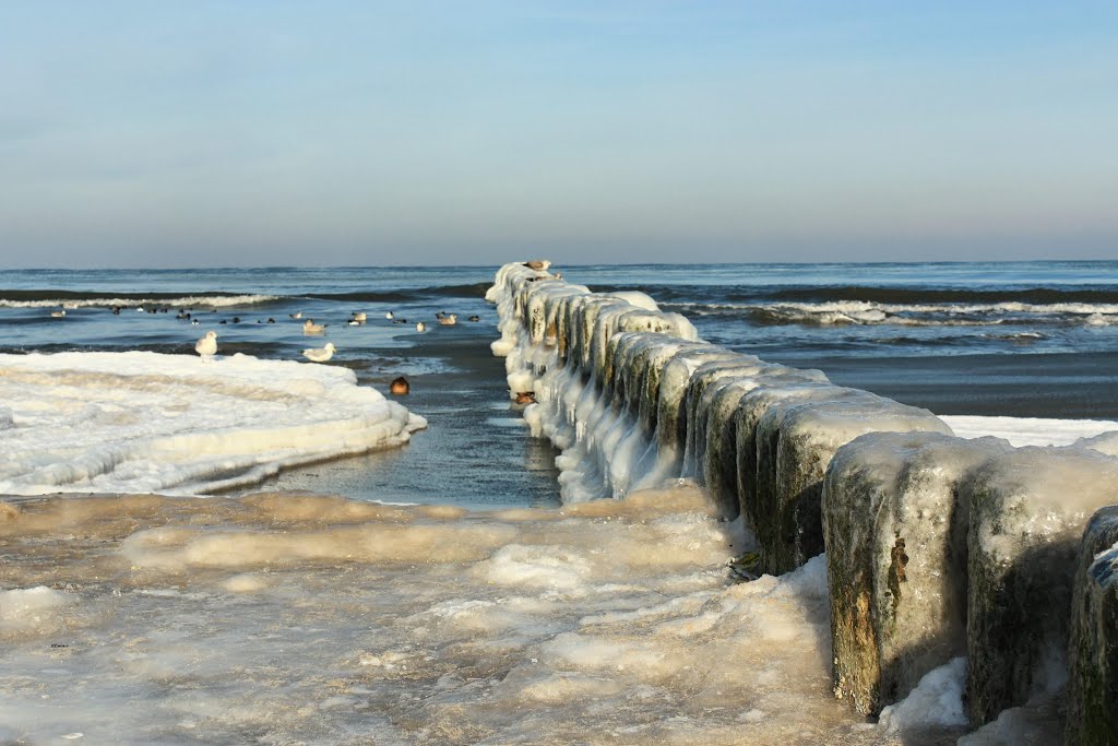 Ostrogi brzegowe w lodzie.