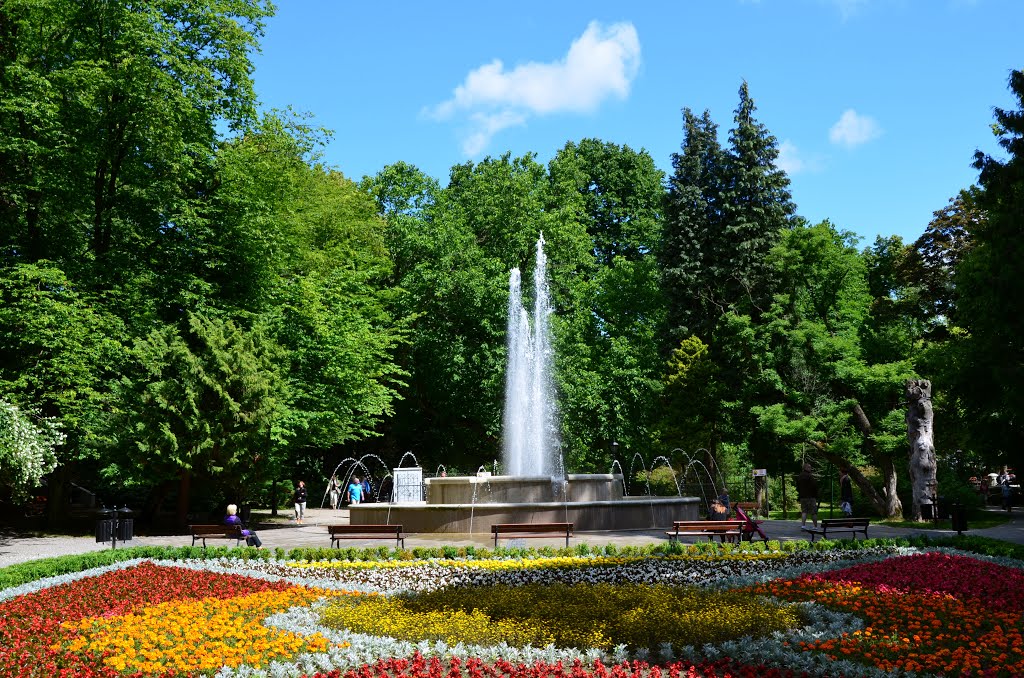 Park w Koszalinie