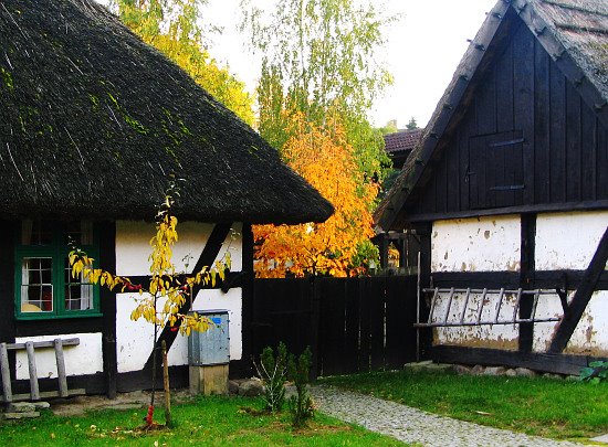 skansen # 5