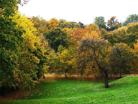 Park Książąt Pomorskich # 1