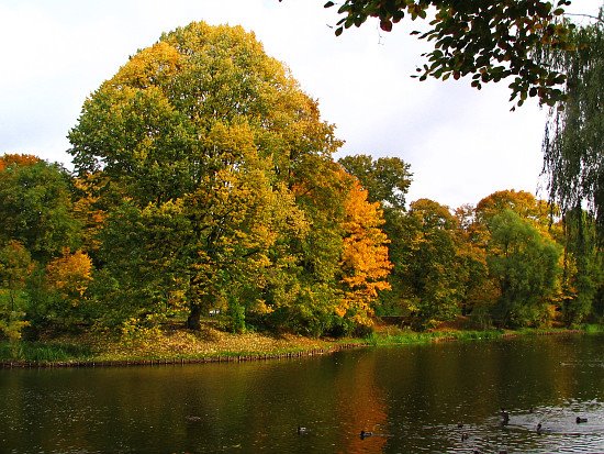 Park Książąt Pomorskich # 4