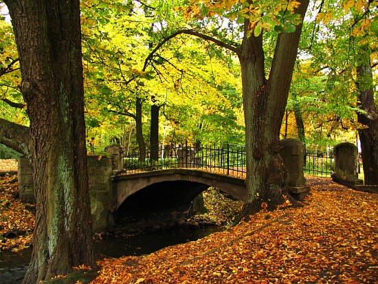 Park Książąt Pomorskich # 6