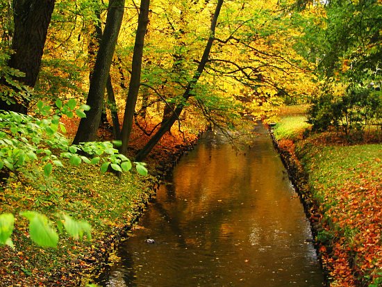 Park Książąt Pomorskich # 7