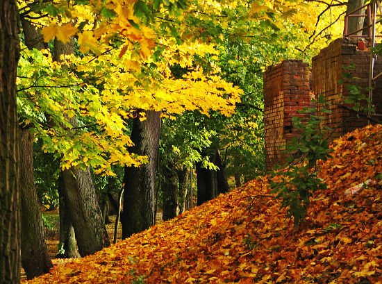 Park Książąt Pomorskich # 8