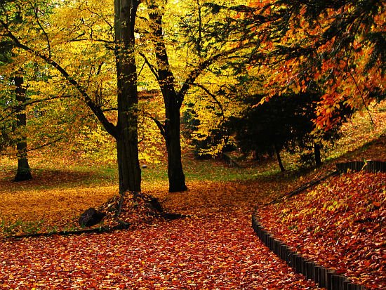 Park Książąt Pomorskich # 14
