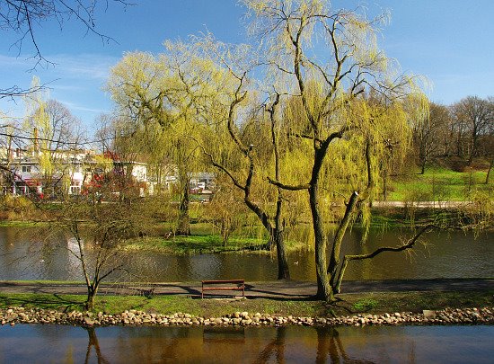 Koszalin #77