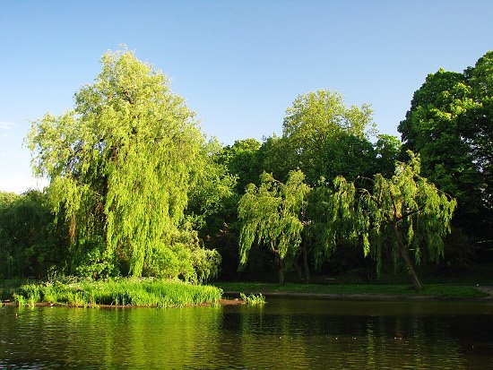Koszalin #102