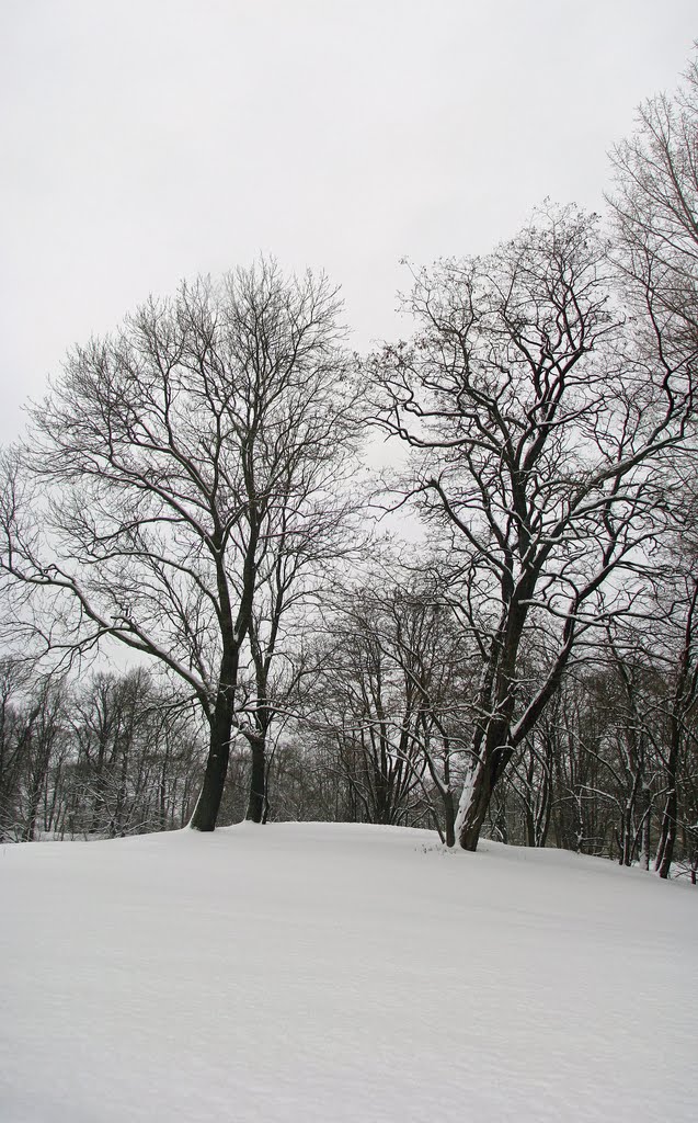 Koszalin #126