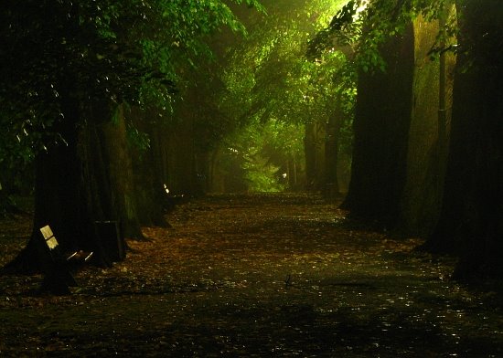 park