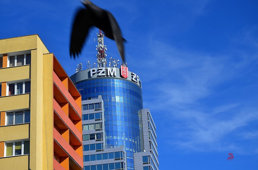 Szczecin