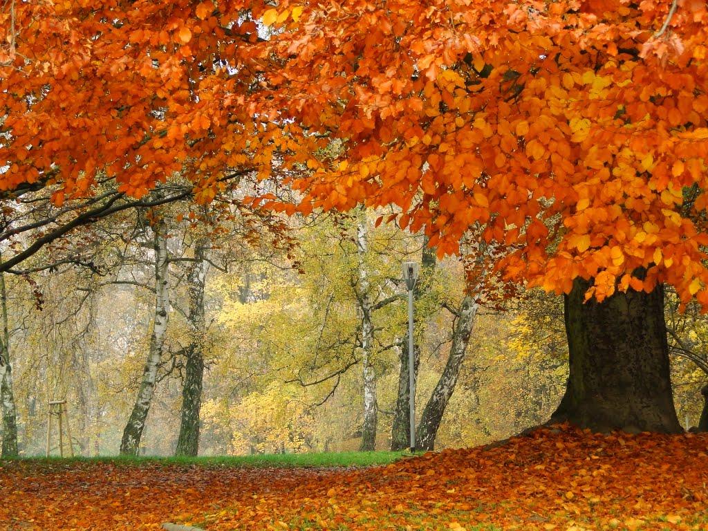 Szczecin - Image of the autumn...