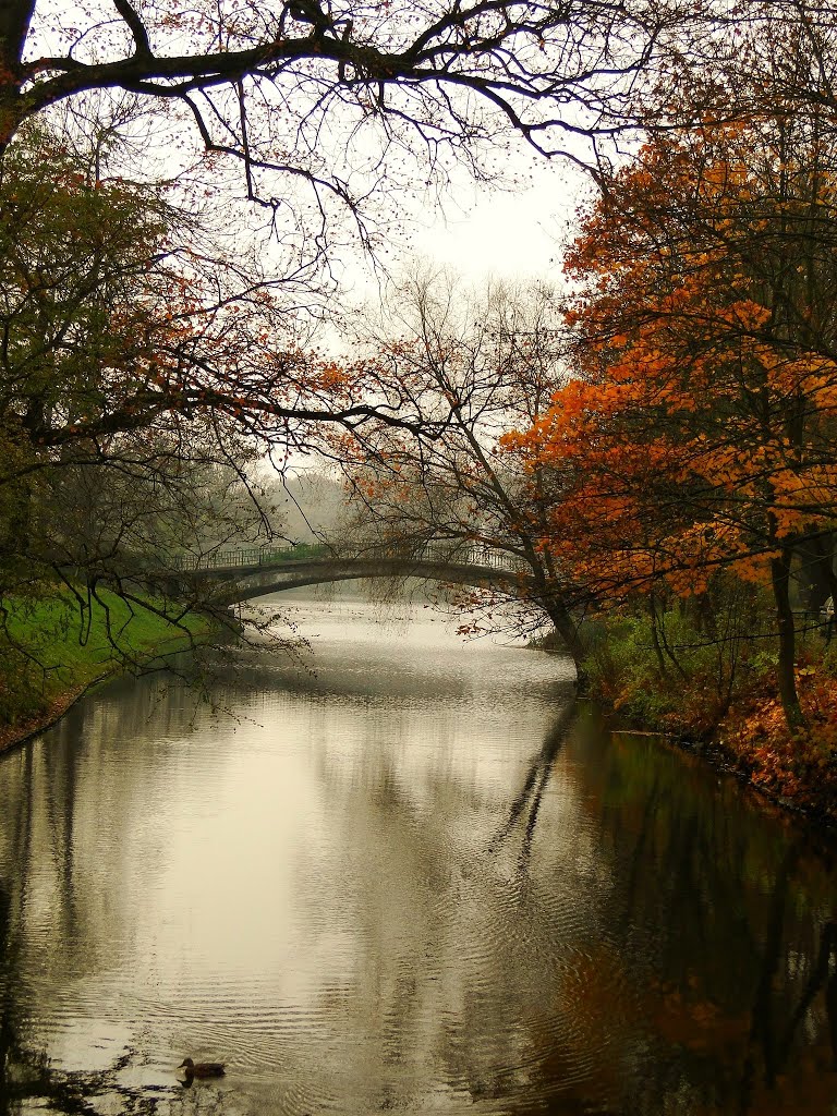 Poland - Szczecin. Autumn in the park