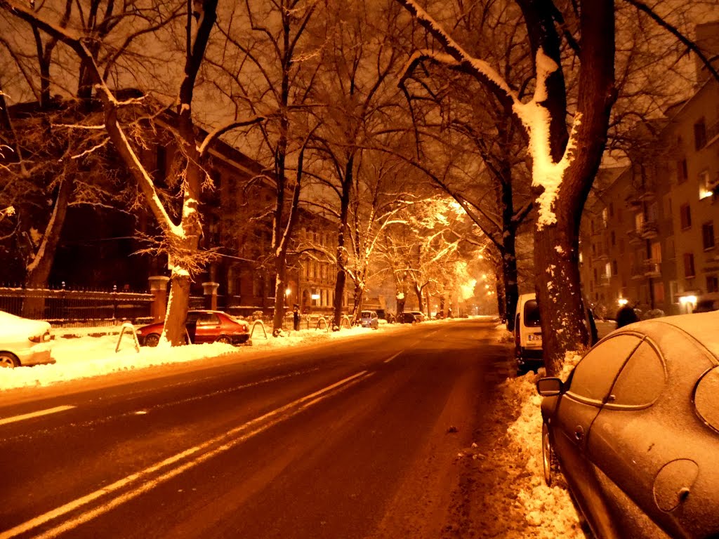 Frost