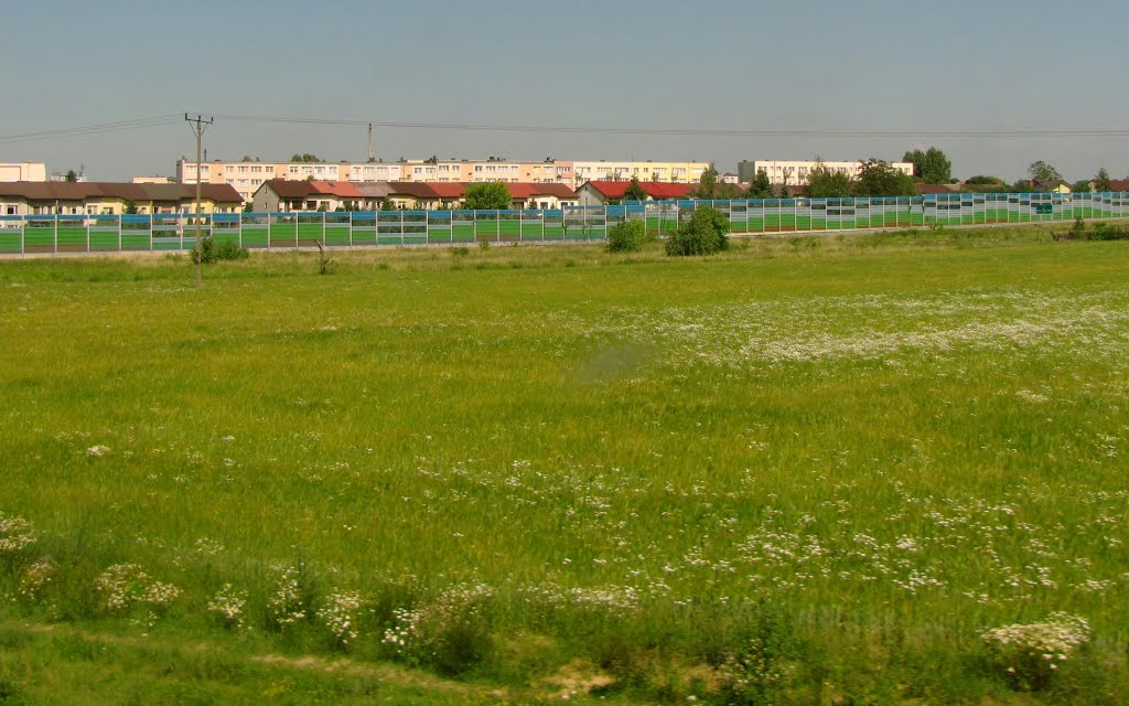 Kutno