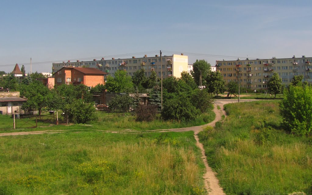 Kutno