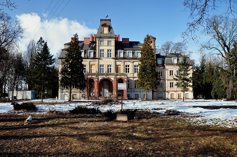 Pałac XVIII/XIX w. Malina Kutno /zk