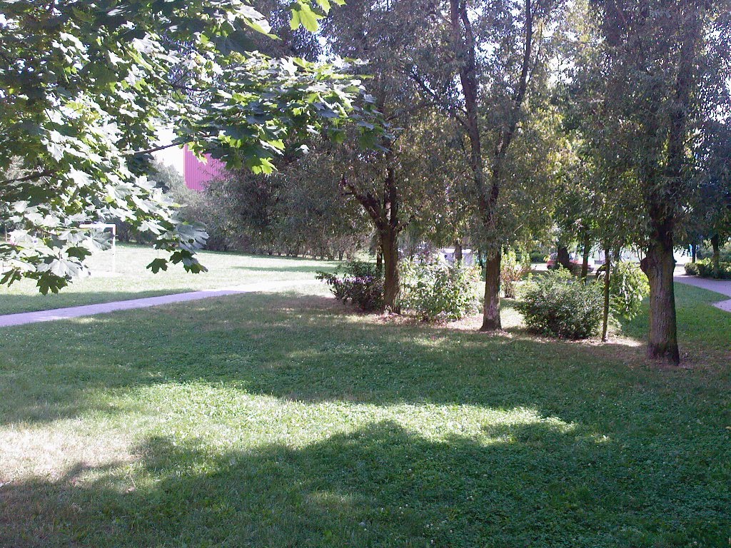 The Grass