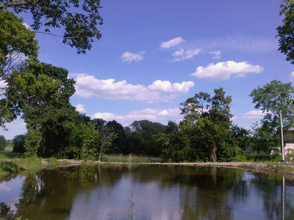 The Mere