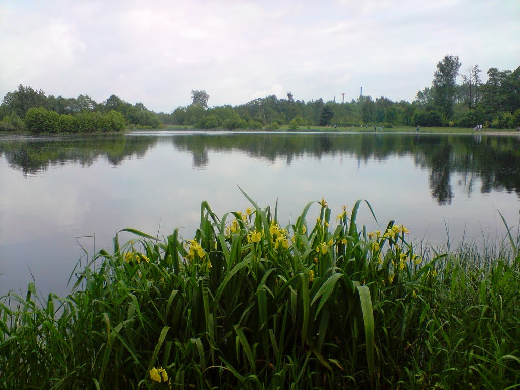 zalew w Łasku