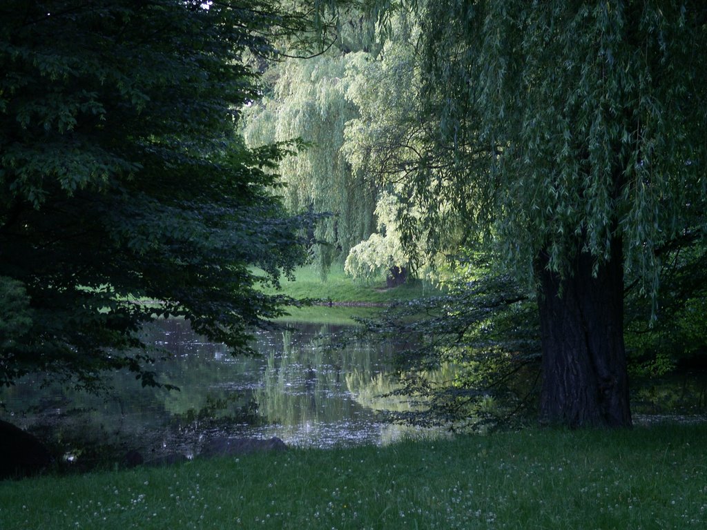 Park Źródliska