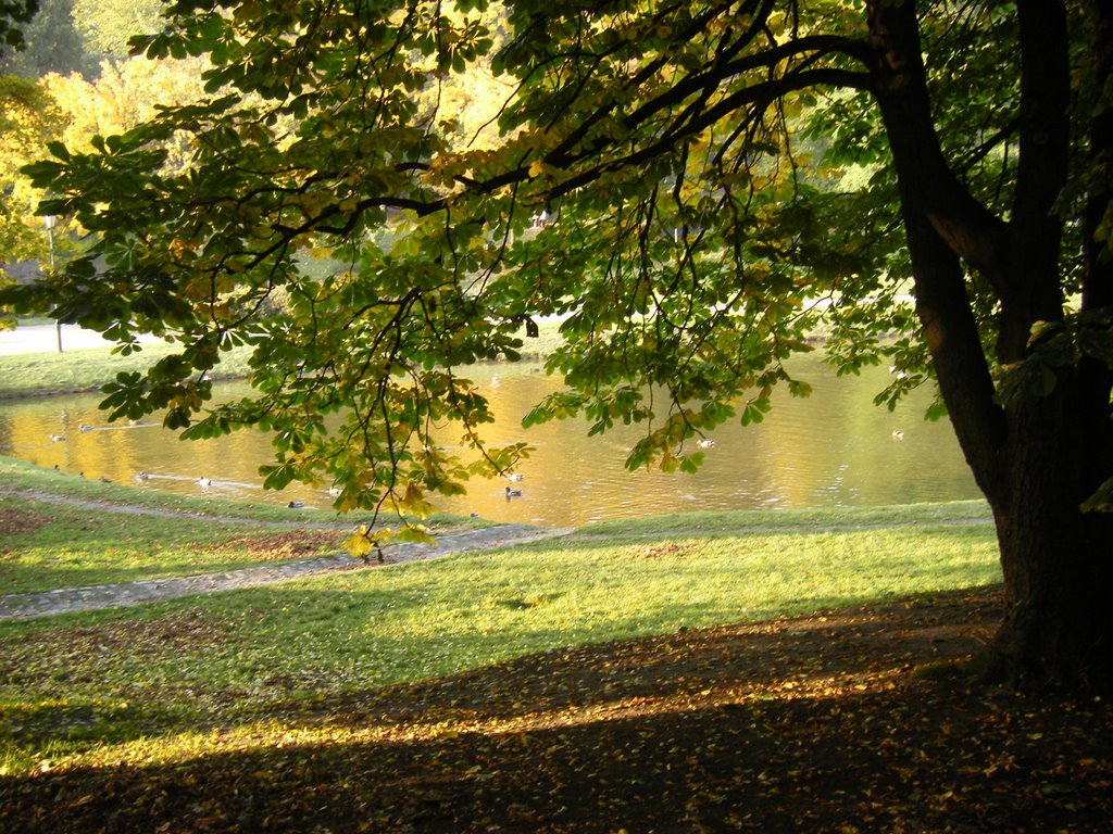 Łódź - Jesień w parku - malby