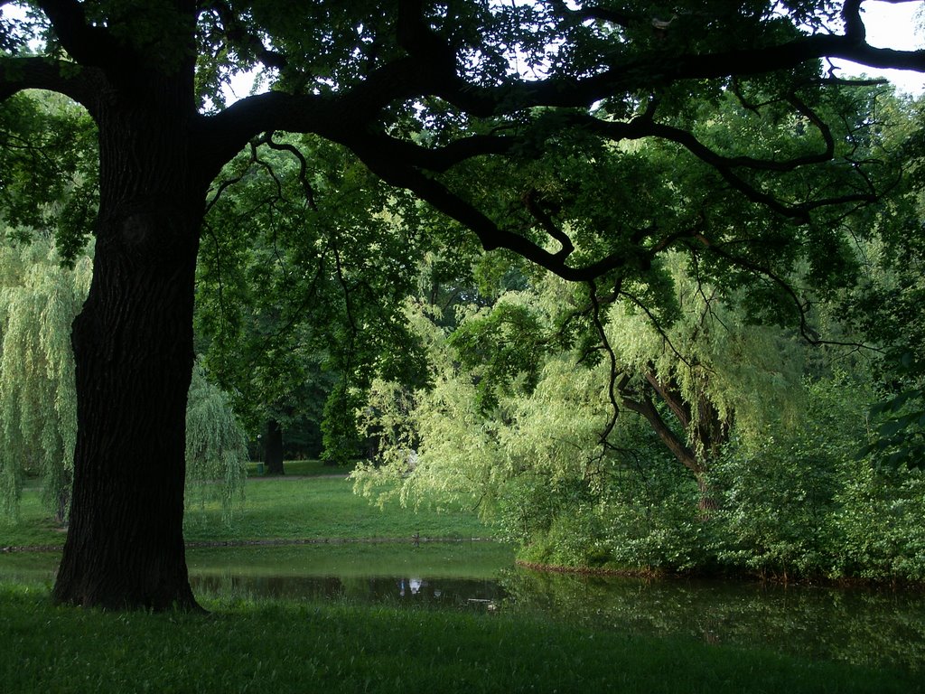 Park Źródliska
