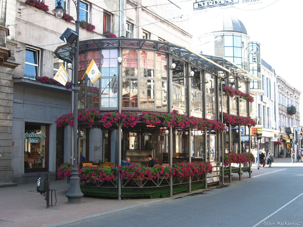 Łódź - ul.Piotrkowska