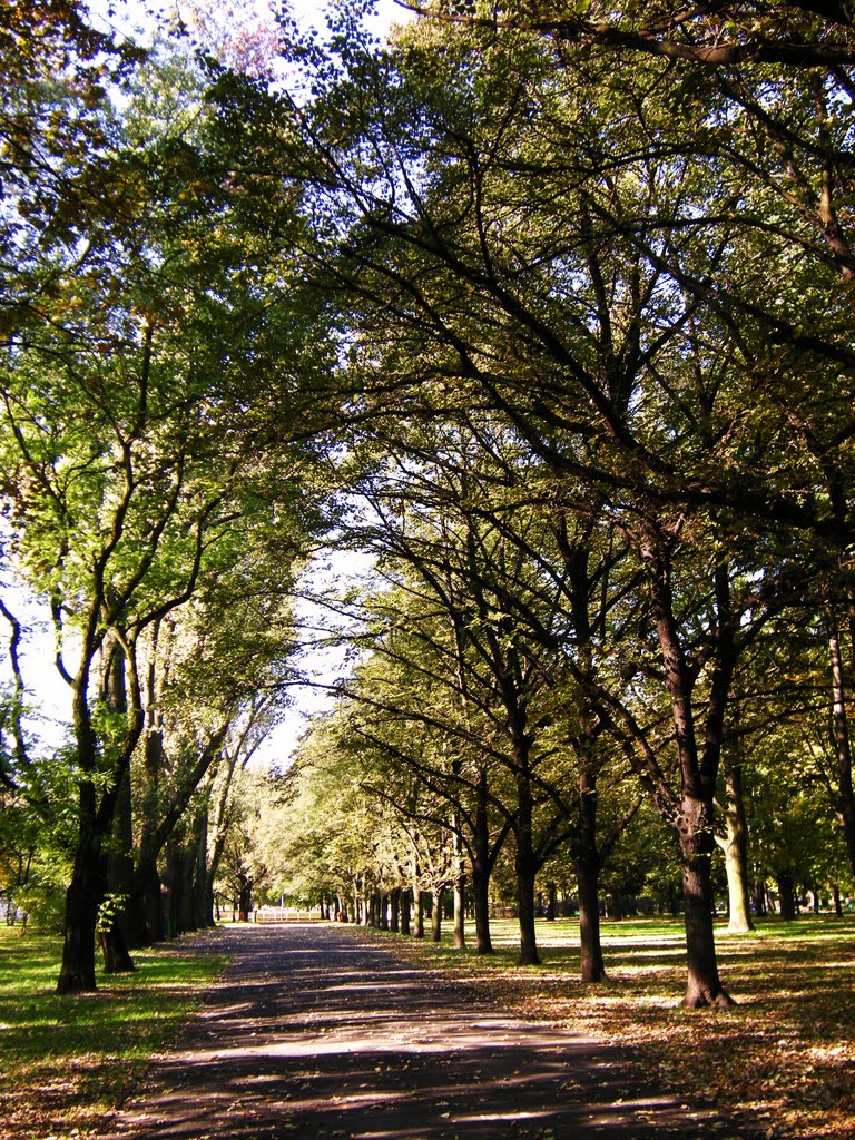 Jesienny park/Autumn park
