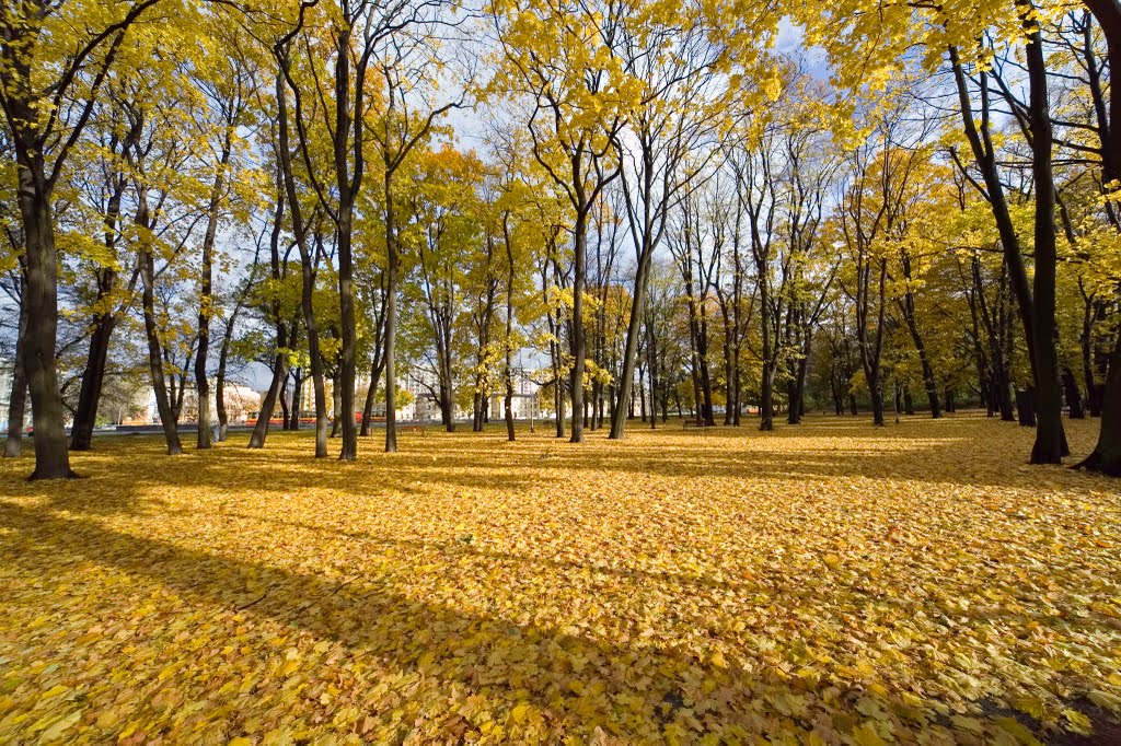 Park Źródliska jesienią