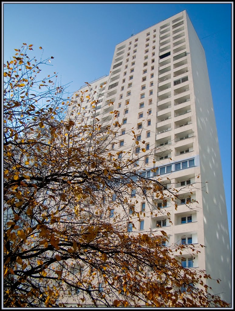 Łódź - Jesienny Manhattan - malby
