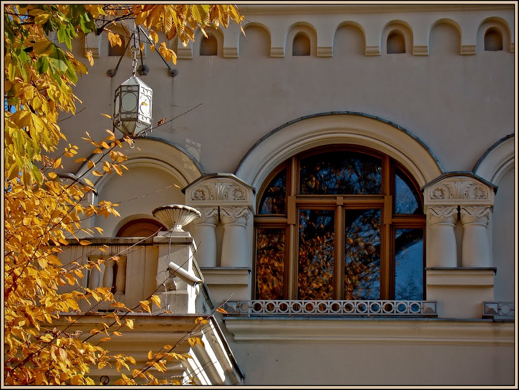 Łódź - Pałac Floriana Jarischa w jesiennej szacie - malby